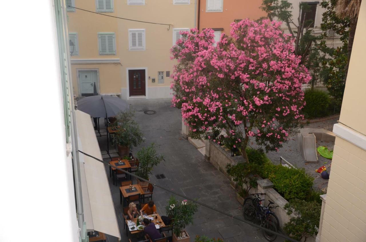 Apartments Park Πιράν Εξωτερικό φωτογραφία